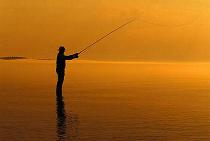 Sunset - Grab your rod and reel and visit our bait and tackle shop in Humble, Texas, for sport-fishing equipment and live bait.